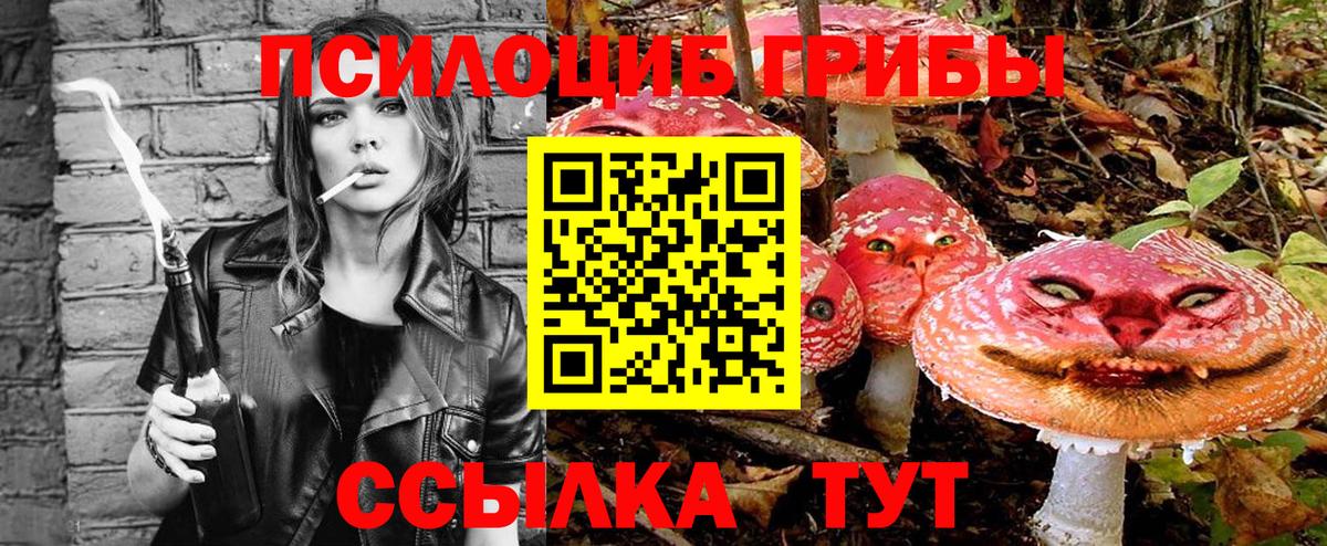 Галлюциногенные грибы MAGIC MUSHROOMS Зеленогорск