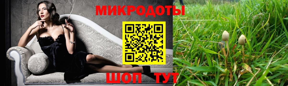 Псилоцибиновые грибы MAGIC MUSHROOMS  Вход с VPN  Псилоцибиновые грибы Psilocybine cubensis  Зеленогорск 